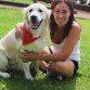 yo y max
